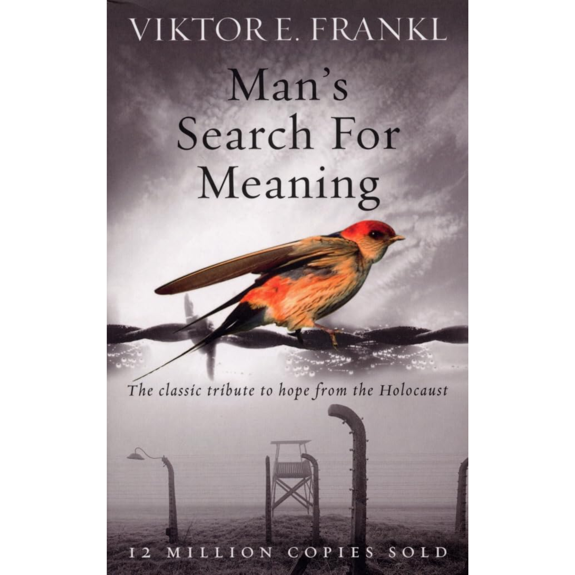 Man's Search For Meaning: The classic tribute to h...